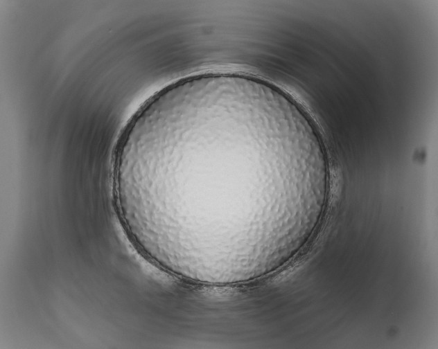 X0000111591046200908061345