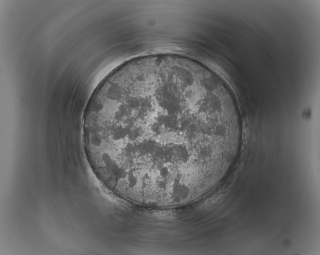 X0000111591047200908061345