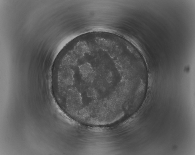 X0000111591048200908061345