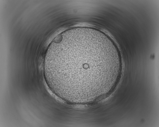 X0000111591049200908061345