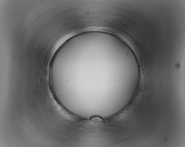 X0000111591050200908061345