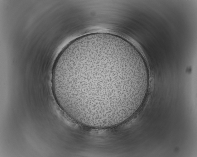 X0000111591051200908061345