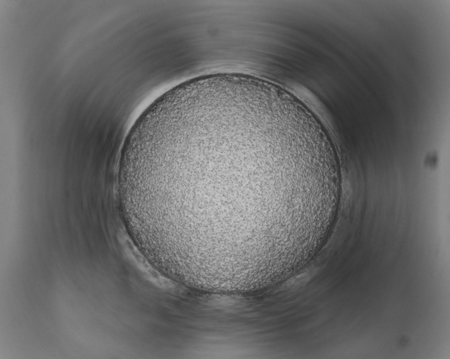 X0000111591052200908061345