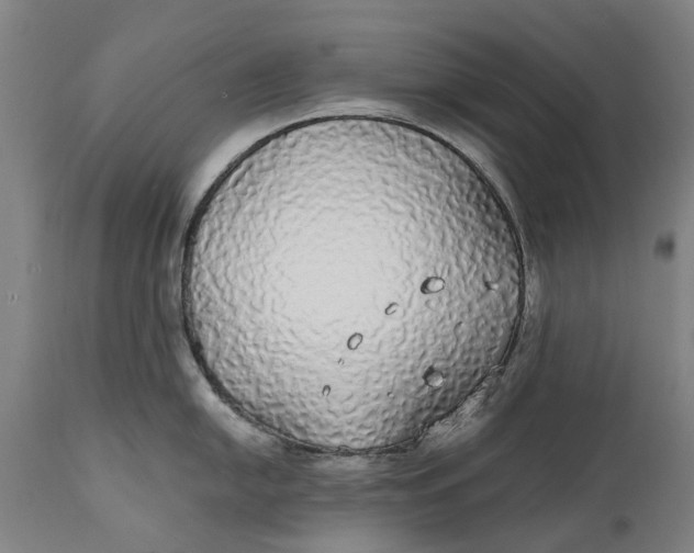 X0000111591054200908061345