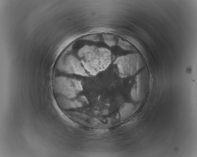 X0000111591055200908061345