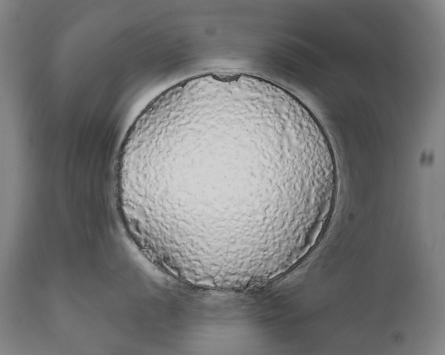 X0000111591056200908061345