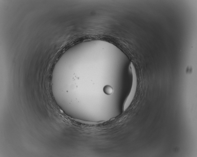 X0000111591057200908061344