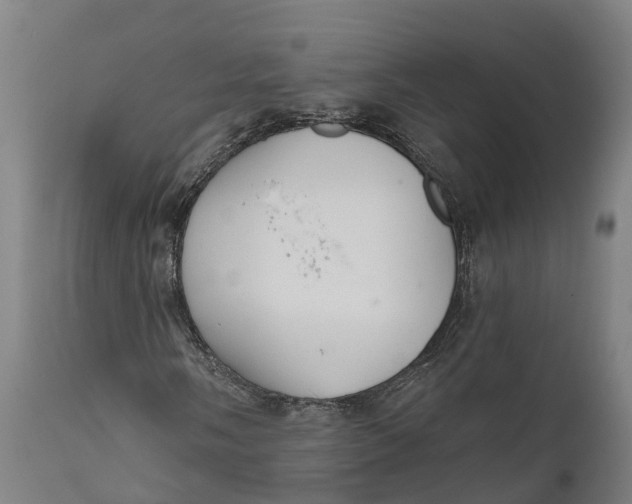 X0000111591058200908061344