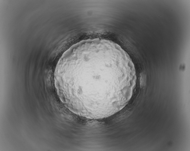 X0000111591059200908061344