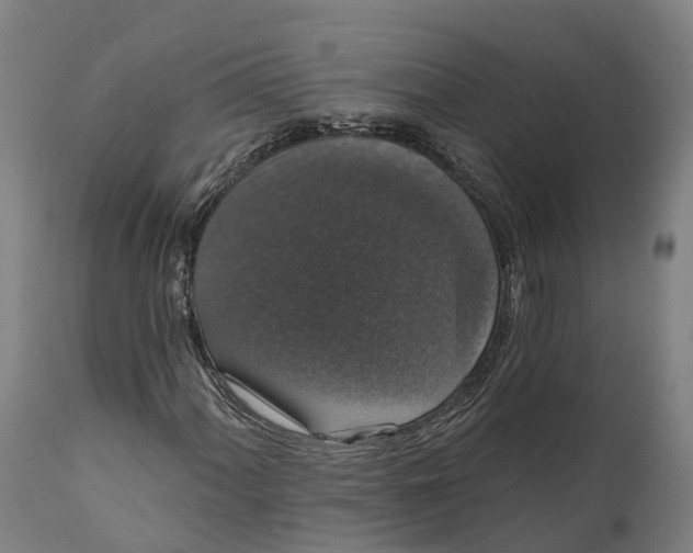 X0000111591060200908061344