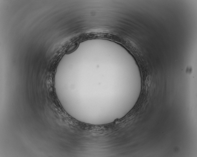 X0000111591062200908061344