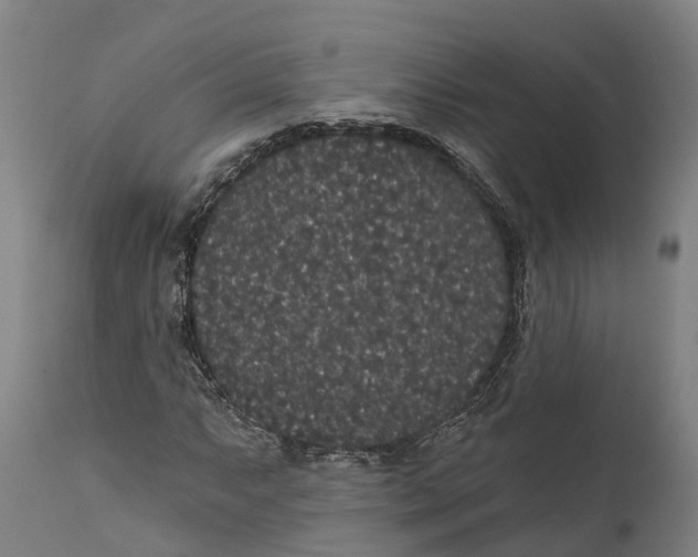 X0000111591063200908061344