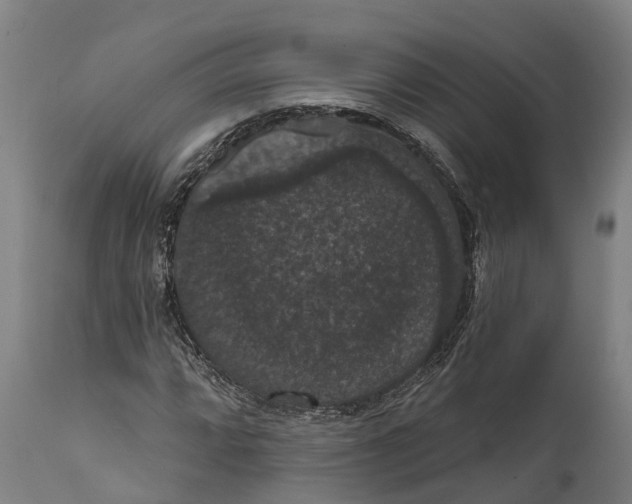 X0000111591064200908061344