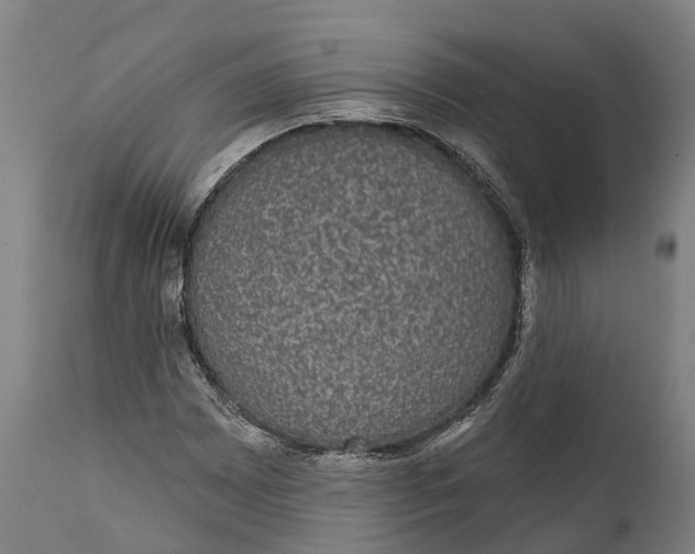 X0000111591065200908061344