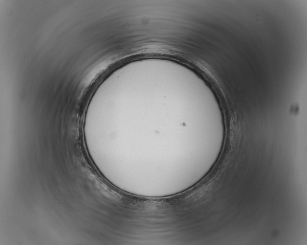 X0000111591067200908061344