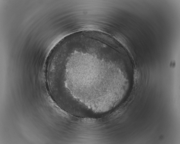 X0000111591068200908061344