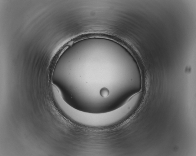 X0000111591069200908061344