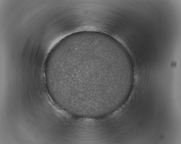 X0000111591070200908061344