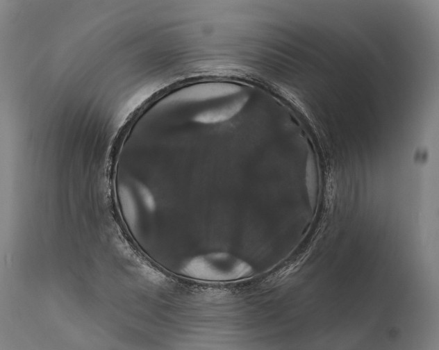 X0000111591071200908061344