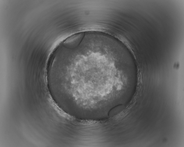 X0000111591072200908061344