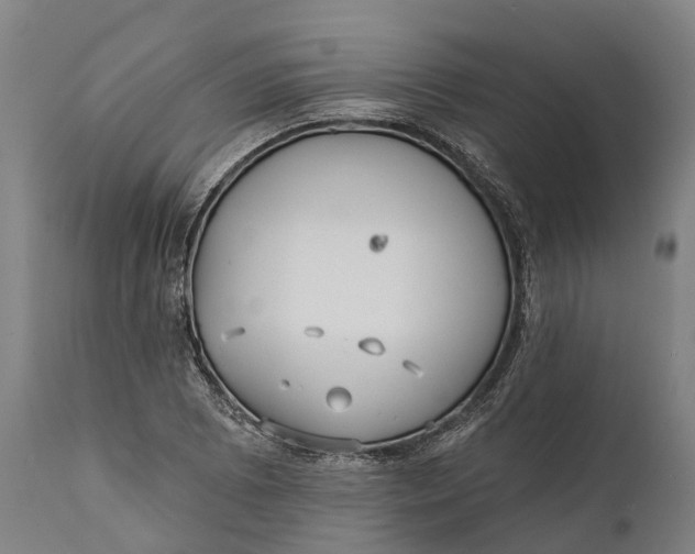 X0000111591073200908061344