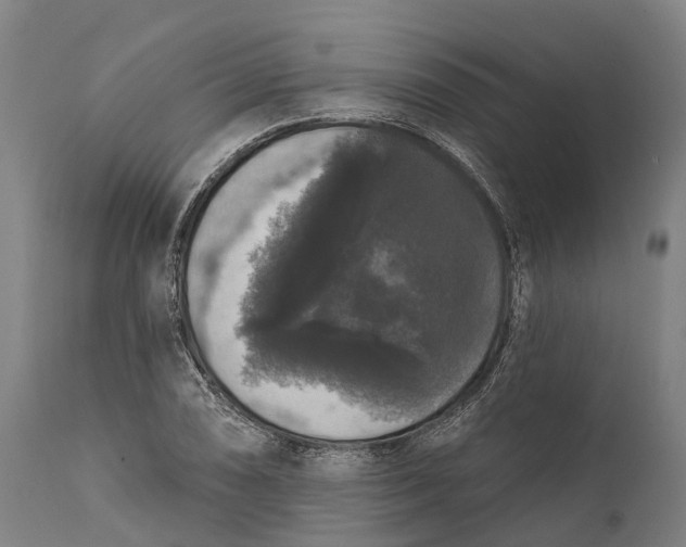 X0000111591074200908061344