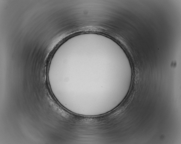 X0000111591075200908061344