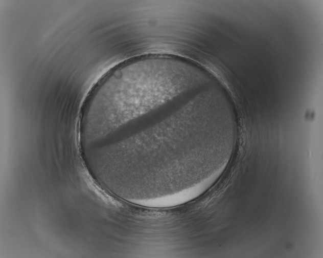 X0000111591076200908061344