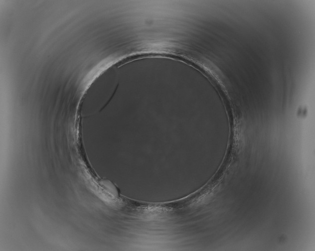 X0000111591077200908061344