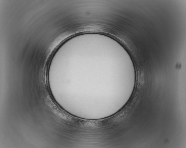 X0000111591078200908061344