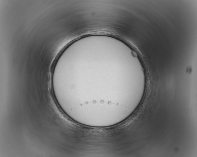 X0000111591079200908061344