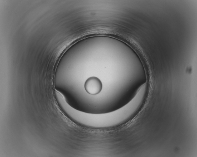 X0000111591081200908061344