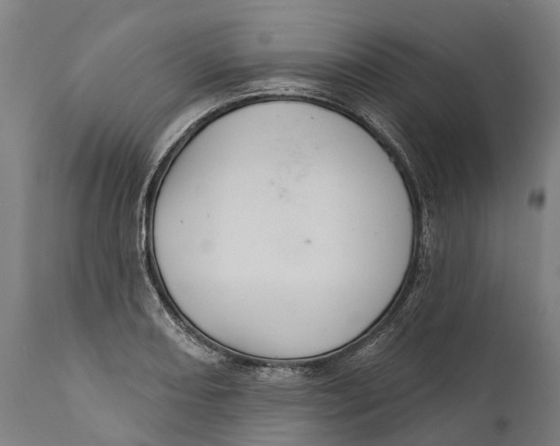 X0000111591082200908061344