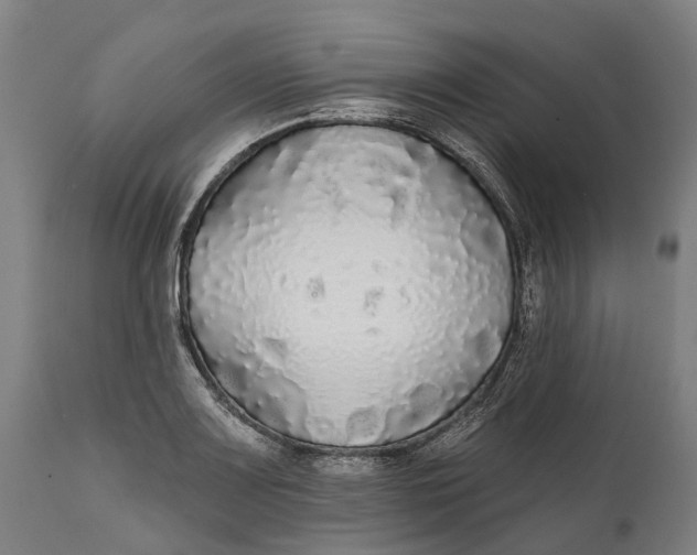 X0000111591083200908061344