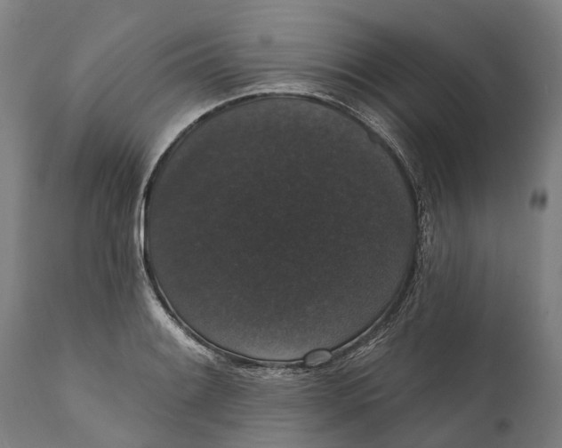 X0000111591084200908061344