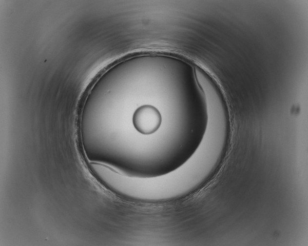 X0000111591085200908061344