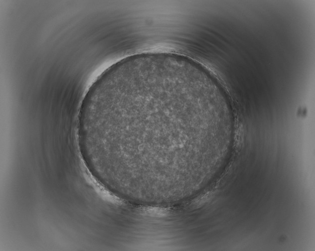 X0000111591086200908061344