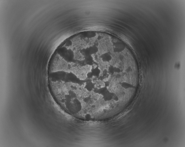 X0000111591087200908061344