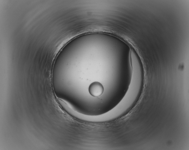 X0000111591089200908061344