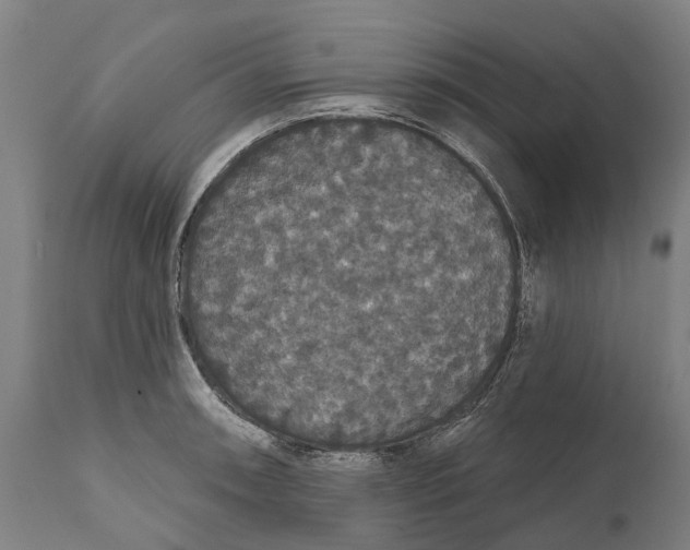 X0000111591090200908061344