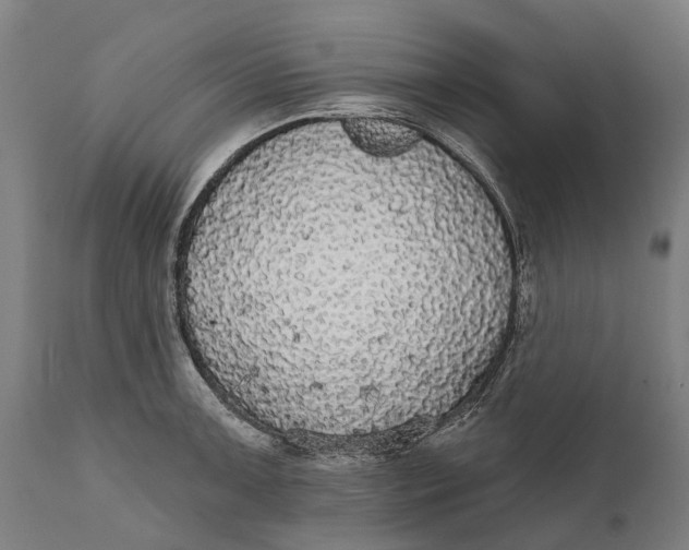 X0000111591091200908061344