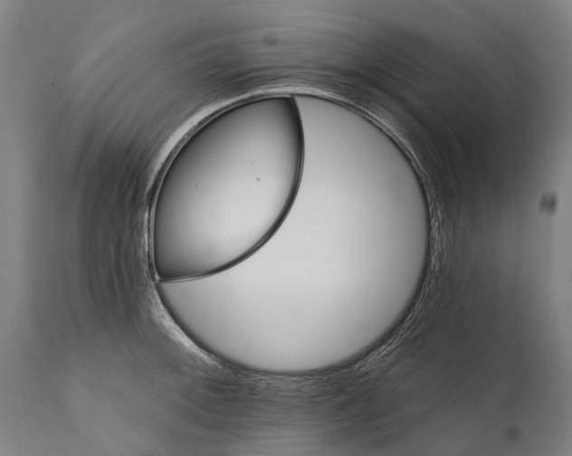 X0000111591092200908061344