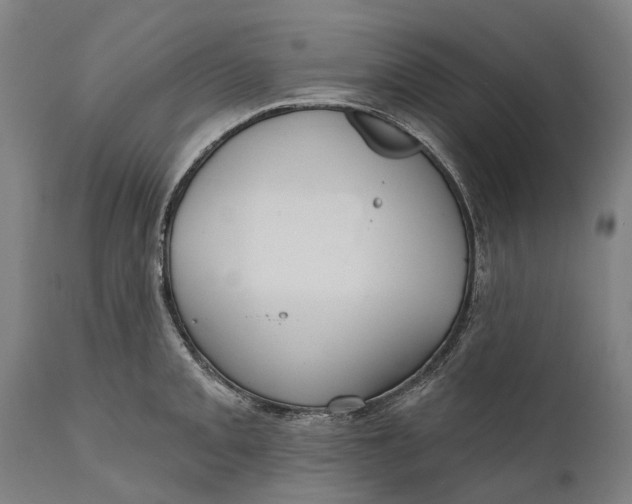 X0000111591093200908061344