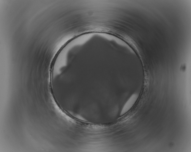 X0000111591095200908061344