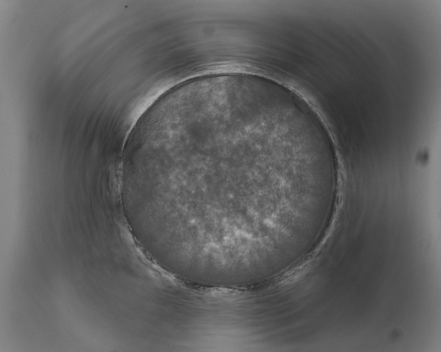 X0000111591097200908061344