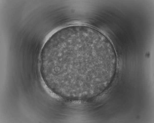 X0000111591098200908061344