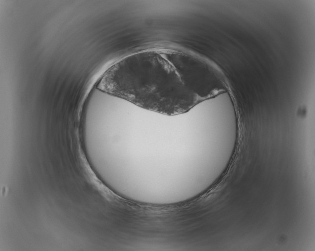 X0000111591099200908061344