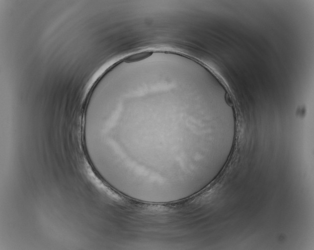 X0000111591100200908061344