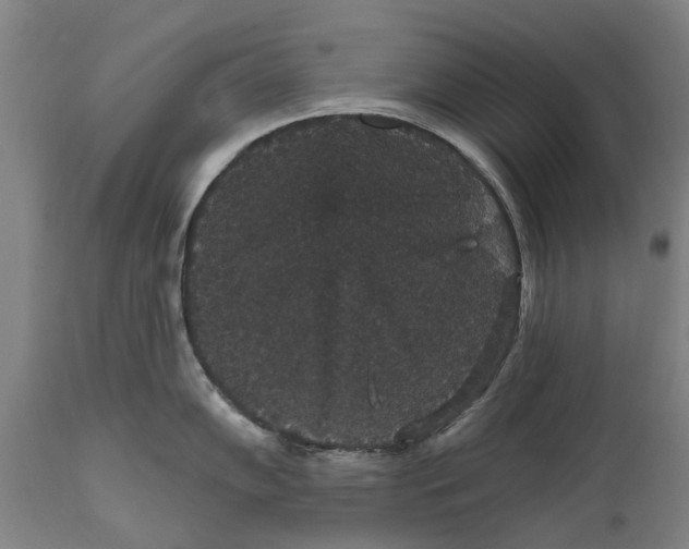 X0000111591102200908061344