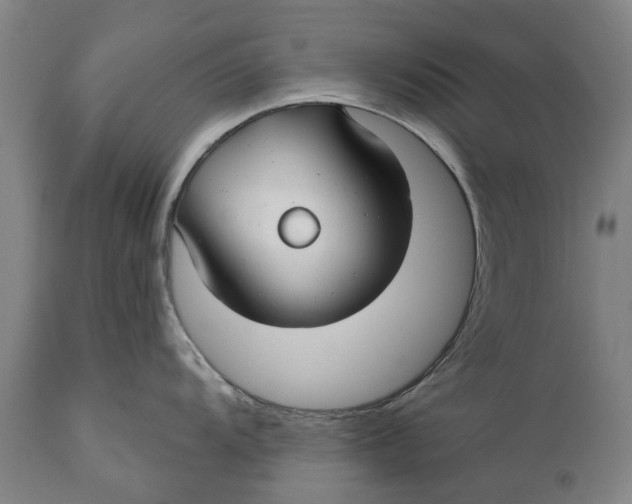 X0000111591104200908061344